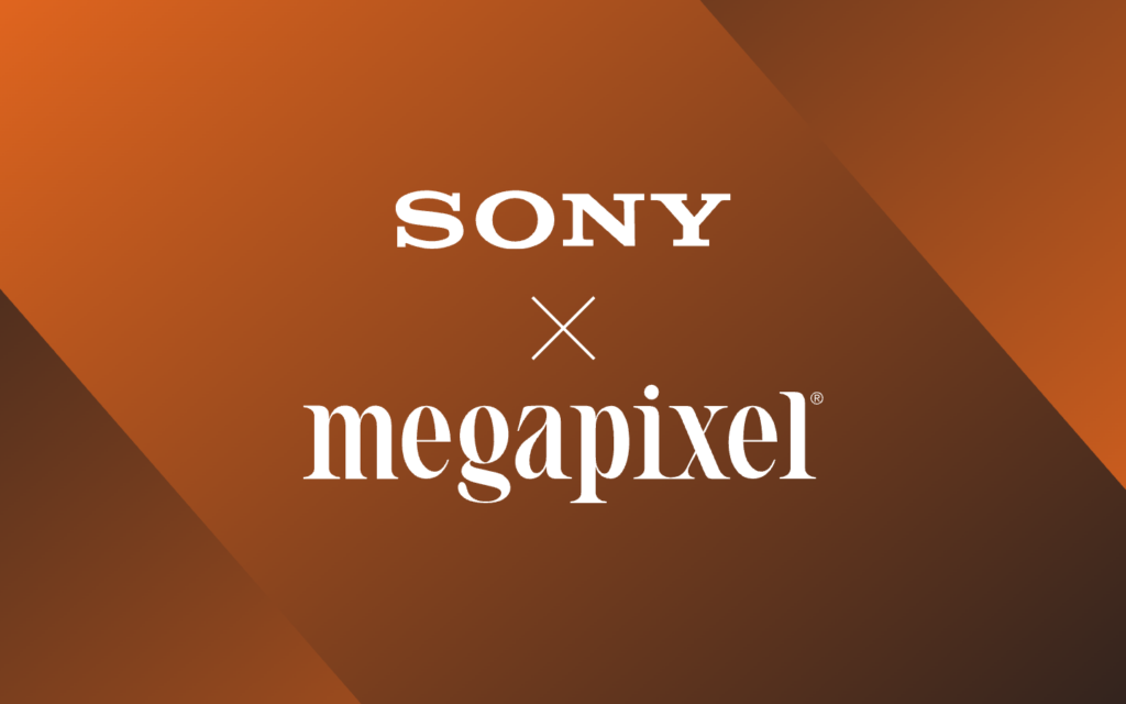 graphic with sony and megapixel logos